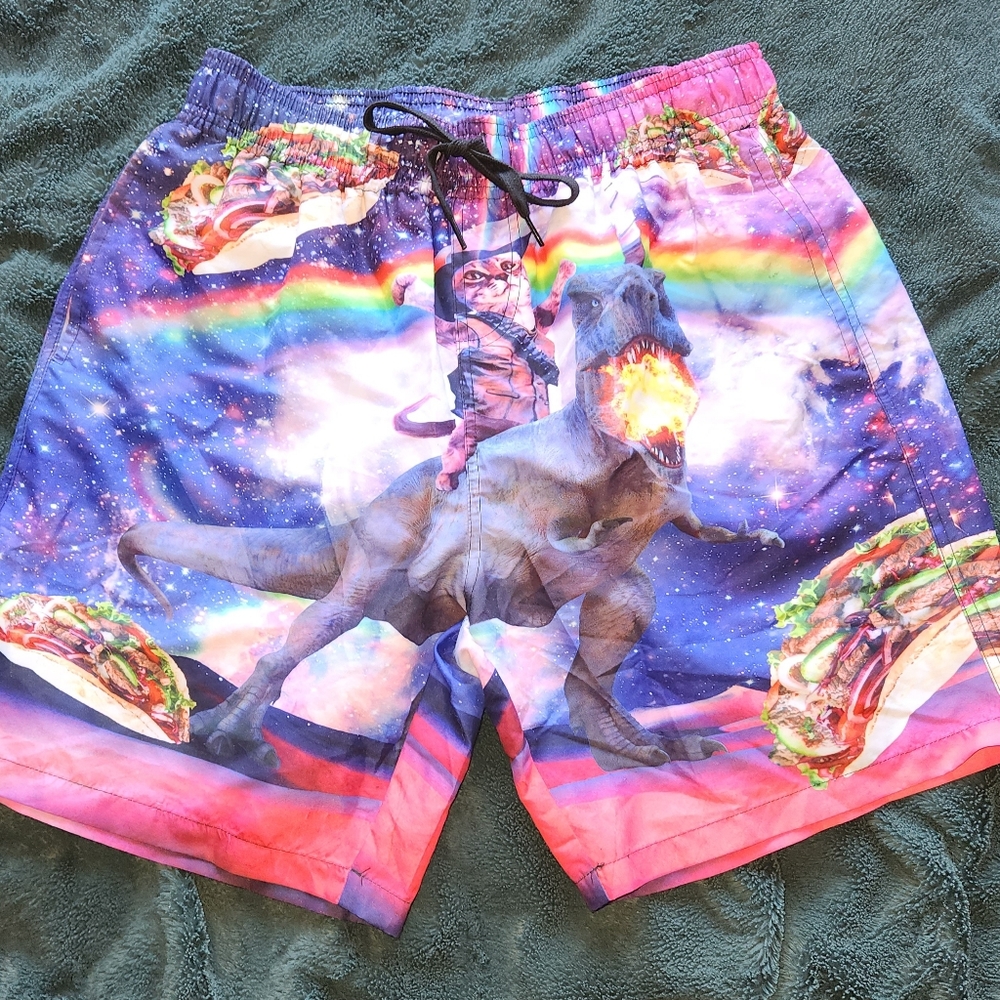 Rainbow cat on dinosaur swimtrunks/shorts